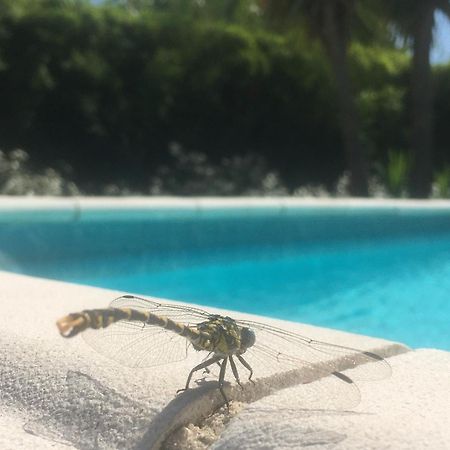 Maison Proche De Hyeres Avec Piscine Privee, Terrasse Et Jardin La Farlede Luaran gambar